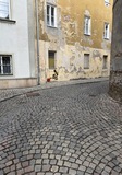 IMG_1392.JPG